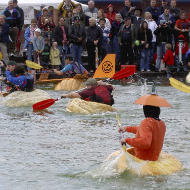 Contestants near the finish line inside their individual pumpkins in race for Pumpkin Kayaking tournament