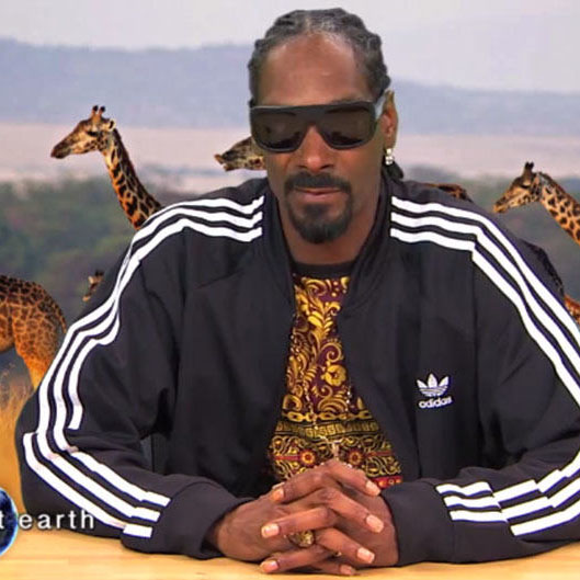 People watch with laughter as Snoop Dogg displays his hilarious narration abilities.