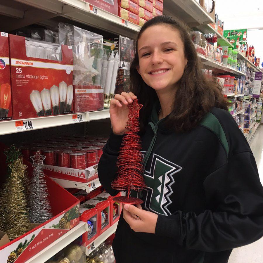 Whether you are going to a relative’s house, going on vacation or just staying at home with your family, anyone can find ways to enjoy Christmas, like freshman Alyssa Maryonopolis.