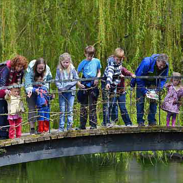 The world pooh sticks championship in England (above) and young elementary school children (below) standing on bridges waiting to participate in a traditional game of Poohsticks. 