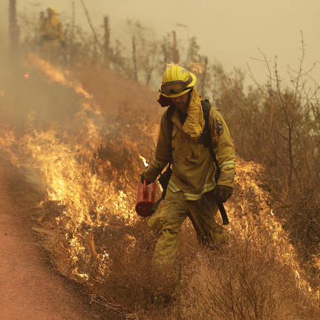 Firefighters are battling the natural disaster that has consumed the state on a daily basis. 