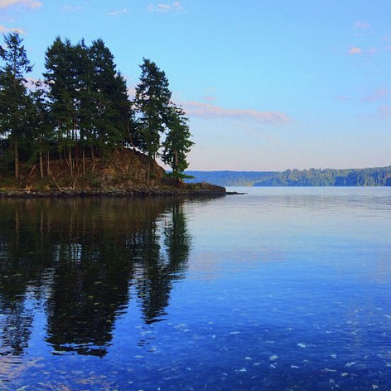 Waterways such as the picturesque Hood Canal in Washington State remain stunning natural retreats in an increasingly urbanized world. Nevertheless, such natural spaces are besieged with harmful litter such as plastic bags and water bottles, serving as a poignant reminder of humanitys duty to protect the environment.