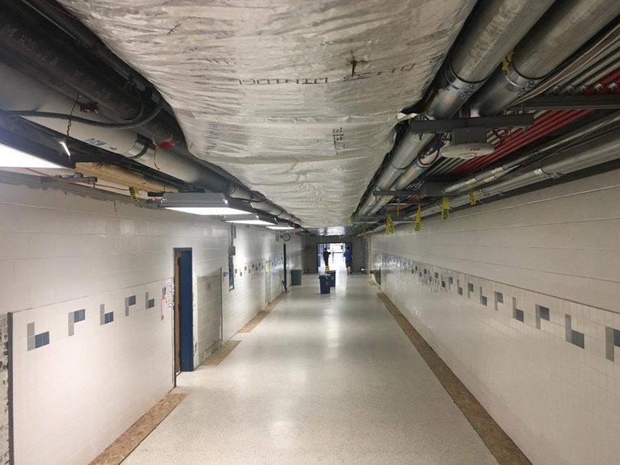 The removal of all the art murals, and the plain white halls, gives the school an industrial feel. Students shouldnt feel like theyre in an institution, with endless halls full of white walls. New murals will bring WS new personality and enhance the beauty of the school.