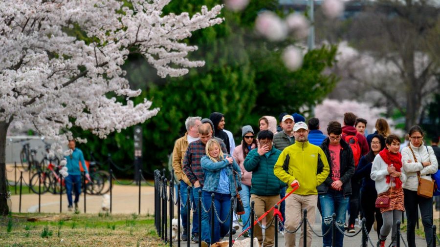 Tourists gather in crowds in Washington D.C. on March 26 despite social distancing guidelines from the city.
