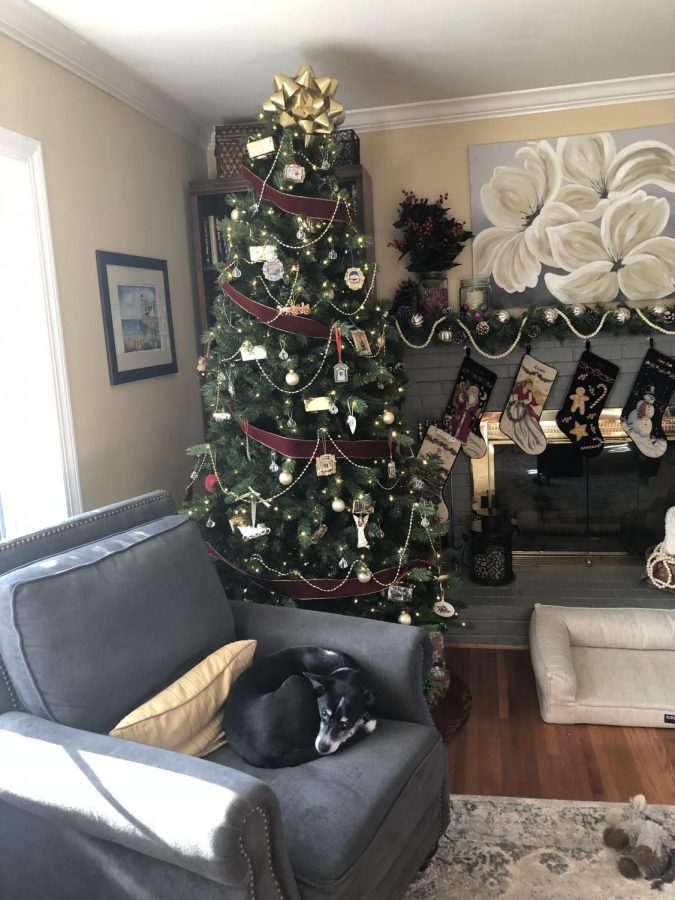 This is the first time the Griffin family has had a fake tree as their main tree, as they usually put up both a real tree and a fake one for the holidays.