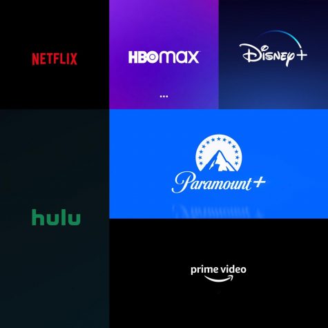 Streaming services have become more and more widespread. Almost every major production company either has their own service or has licensed their content exclusively with a streaming service. 
