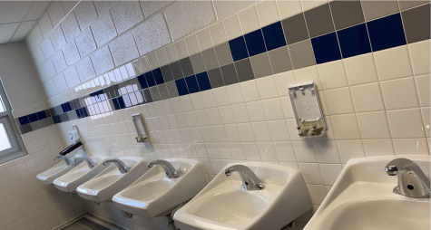 Soap dispensers were a common item stolen leaving bathrooms bare with minimal resources. Due to the size of a soap dispenser, students could easily conceal the products in their backpacks. This left bathrooms with no soap creating inconveniences for spartans.