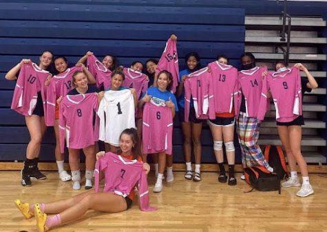 Each volleyball team has specific pink volleyball jerseys to wear during Dig Pink. These jerseys aid in coloring the whole gym pink.