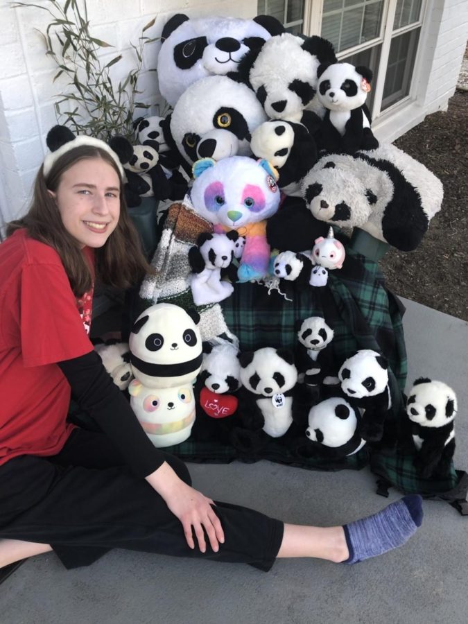 Panda fans can feed their love with many kinds of merchandise, including clothing, accessories, and stuffed animals. 