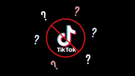 The potential of TikTok being banned with this bill raises the concern of whether other similar platforms will be banned in the future, such as Instagram or Facebook.