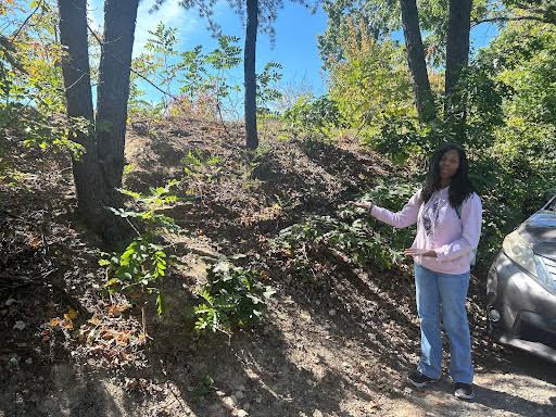 To enter the building in the morning, senior Carin Coleman has to climb up a steep hill, dodging tripping hazards and everything in between.